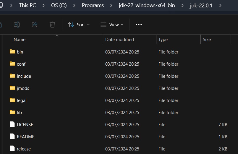 Print screen da tela da pasta jdk.