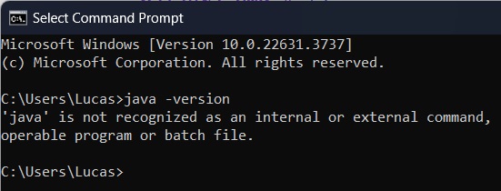 Print screen da tela de quando foi feito algum passo incorretamente e o Windows não encontra o comando java.