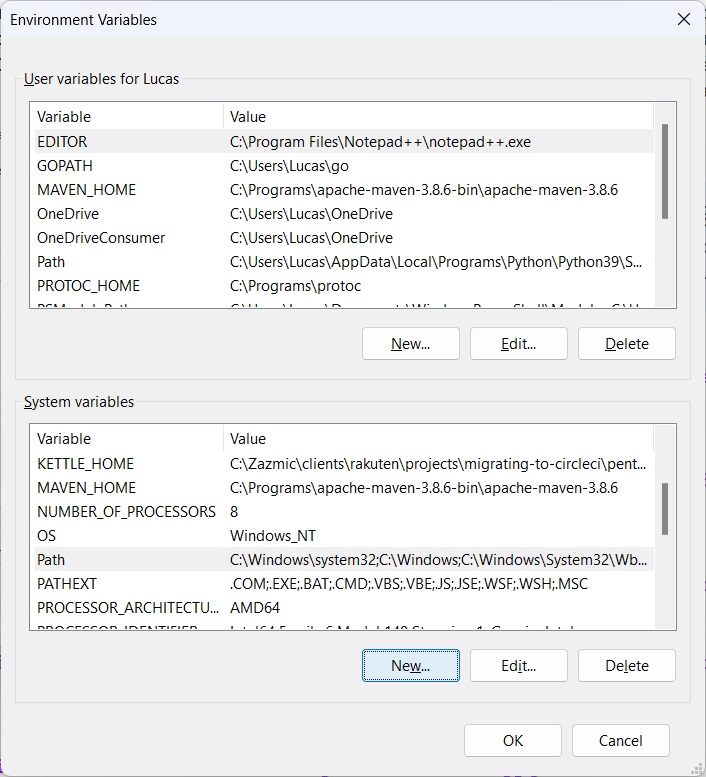 Print screen da tela de nova variável de ambiente.