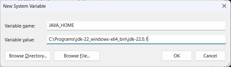 Print screen da tela de nova variável de ambiente.