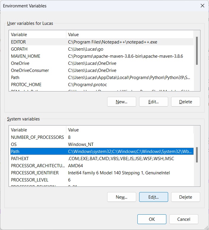 Print screen da tela de nova variável de ambiente.