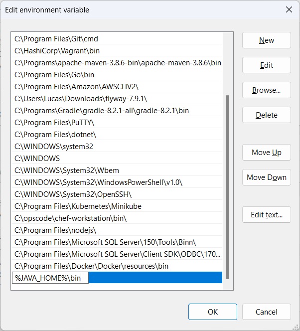 Print screen da tela de nova variável de ambiente.