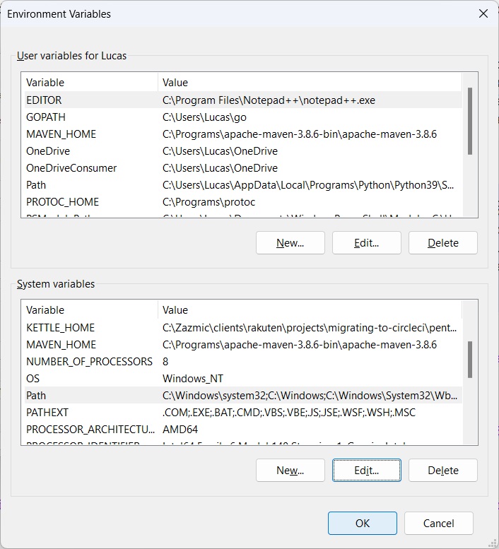 Print screen da tela de nova variável de ambiente.
