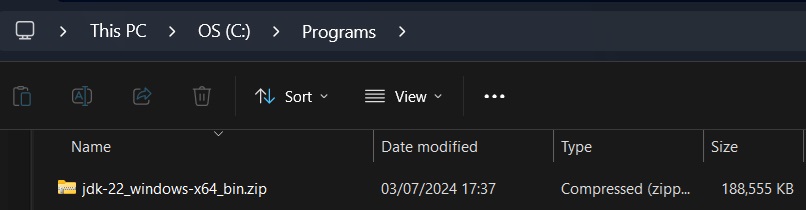 Print screen da tela da pasta Programs dentro da pasta C:.