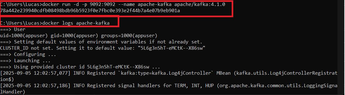 Print screen da tela do prompt de comandos os comandos de start e logs