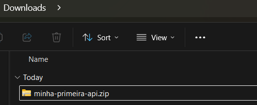 Print screen da tela da pasta de downloads com o arquivo minha-primeira-api.zip aparecendo