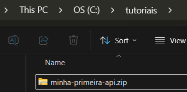 Print screen da tela da nova pasta com o arquivo minha-primeira-api.zip aparecendo