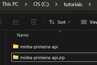 Print screen da tela da nova pasta com o arquivo minha-primeira-api.zip e a pasta extraída minha-primeira-api aparecendo